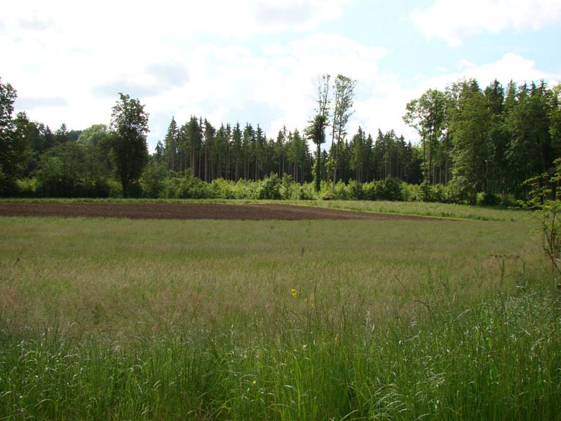 Reitberger Immobilien GmbH