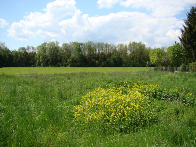 Reitberger Immobilien GmbH